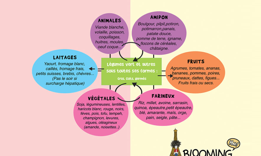 La roue alimentaire