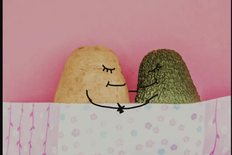 Plantes médicinales pour sommeil valériane passiflore camomille avec gélules magnésium mélatonine