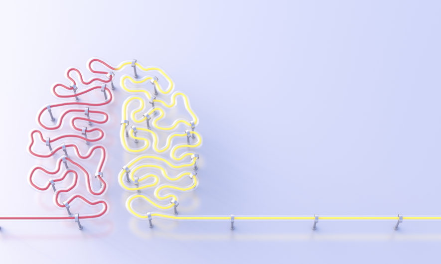 le-pouvoir-du-cerveau
