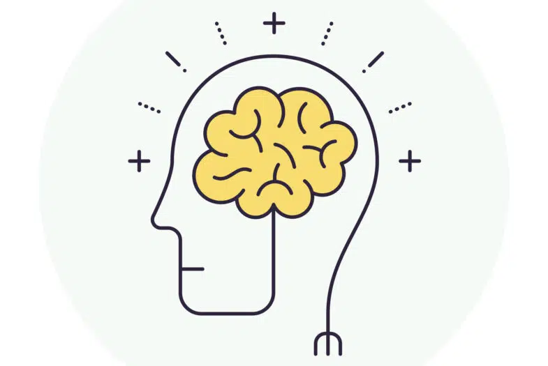 le-pouvoir-du-cerveau