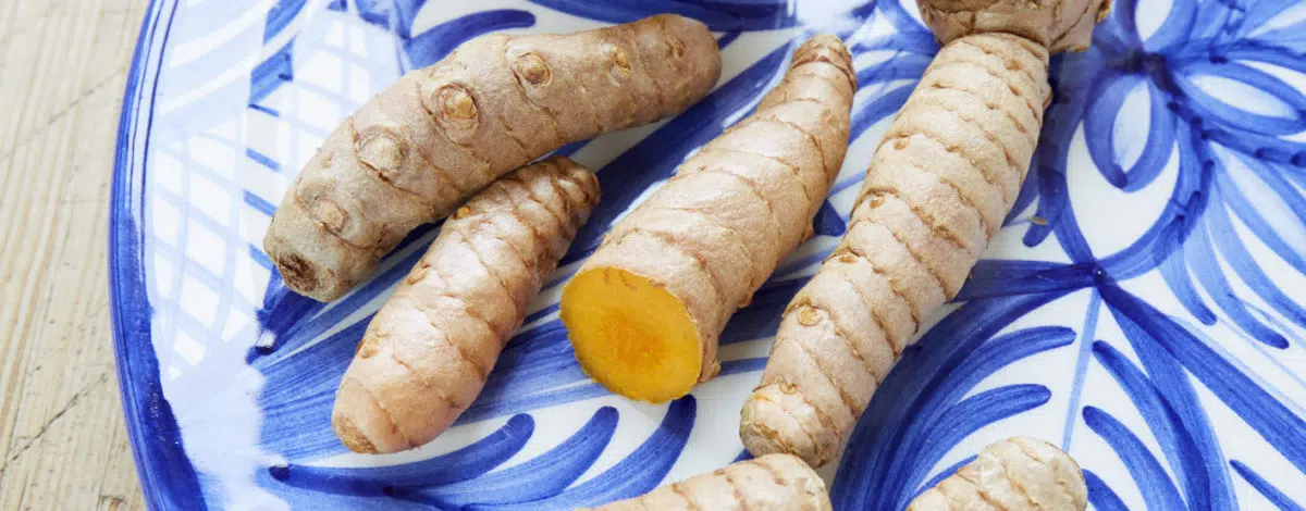 Le curcuma et le curcuma 185.0