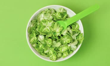 Les contes de l’industrie du Bio