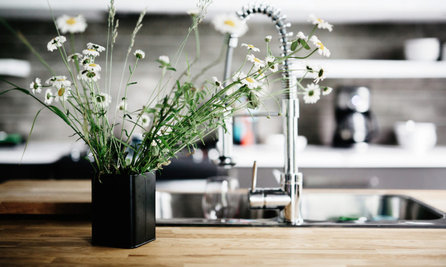 10 astuces pour nettoyer la maison avec vos restes !