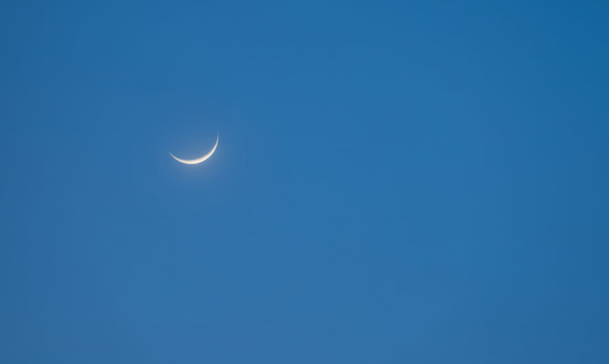 Les 12 signes lunaires décryptés