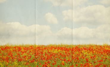 nous-voulons-des-coquelicots