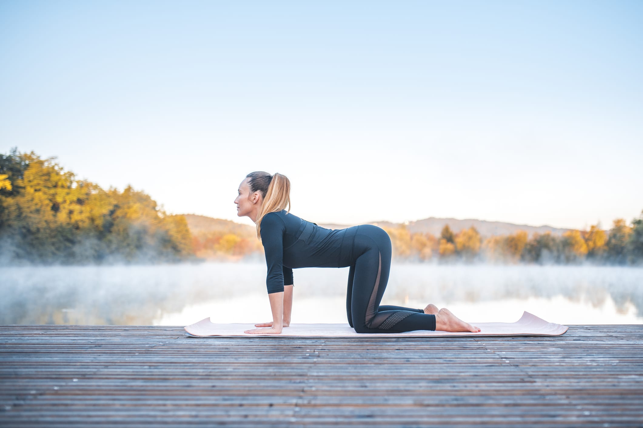 Pose de yoga - pose de vache (bitilasana