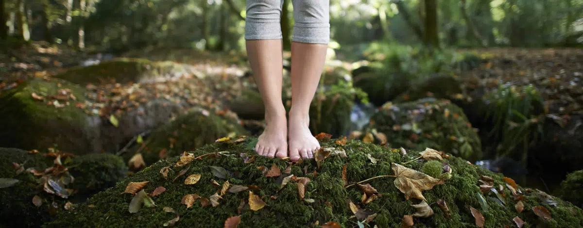 science-pourquoi-la-nature-nous-soigne-et-nous-rend-heureux