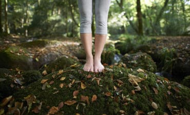 science-pourquoi-la-nature-nous-soigne-et-nous-rend-heureux