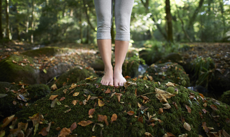 science-pourquoi-la-nature-nous-soigne-et-nous-rend-heureux