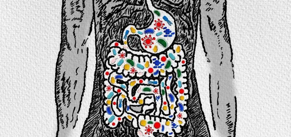 microbiote-intestinal-comment-le-revitaliser