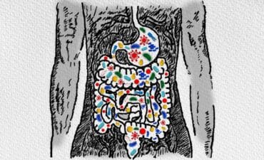 microbiote-intestinal-comment-le-revitaliser