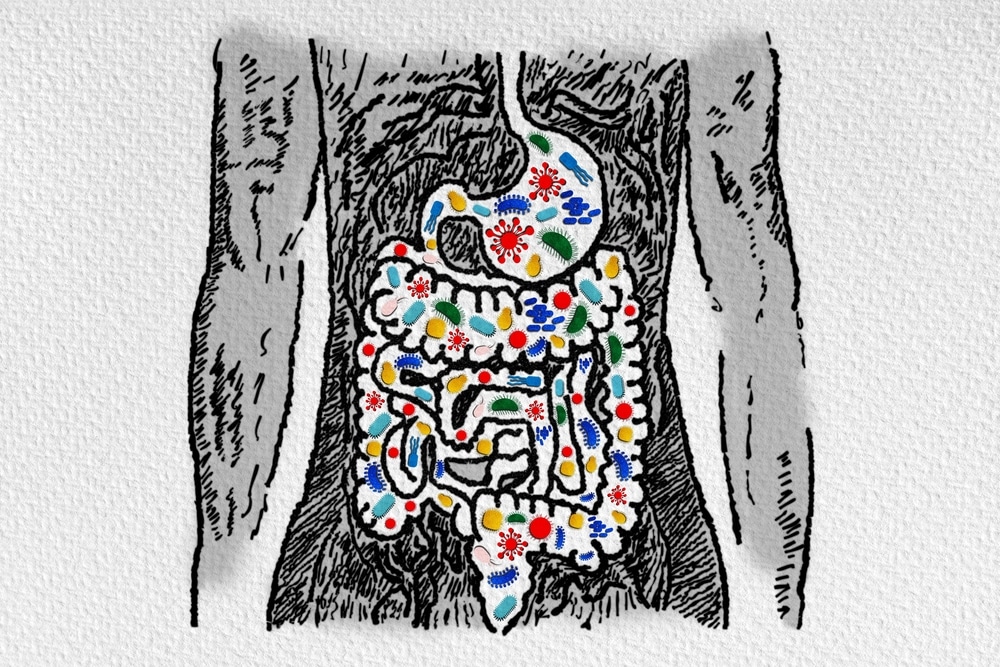 microbiote-intestinal-comment-le-revitaliser