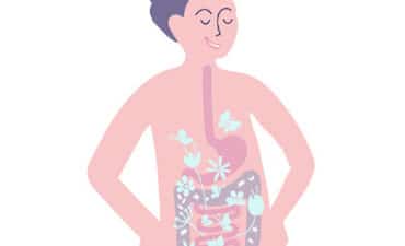 microbiote-intestinal-comment-le-revitaliser