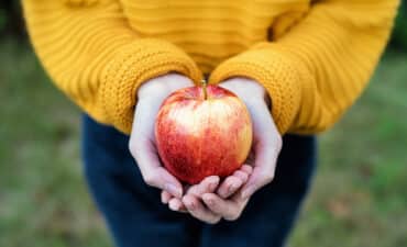 alimentation-des-adolescents-leur-apporter-les-bons-reflexes