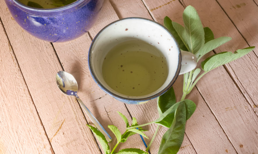 comment-se-soigner-avec-les-plantes-medicinales