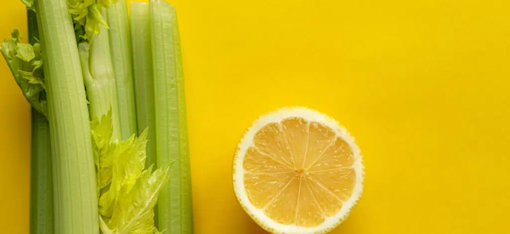 detoxifier son corps et sa tête