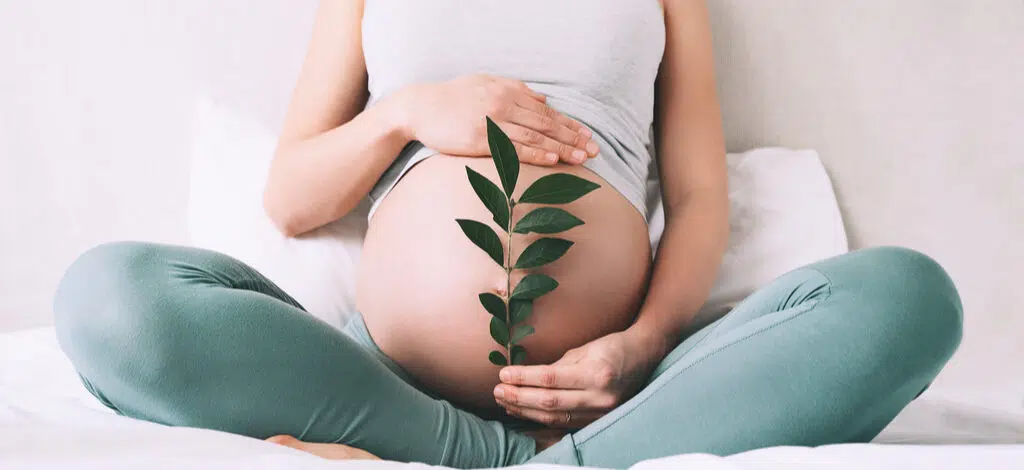 Quels sont les secrets de l’ayurvéda pour booster sa fertilité?