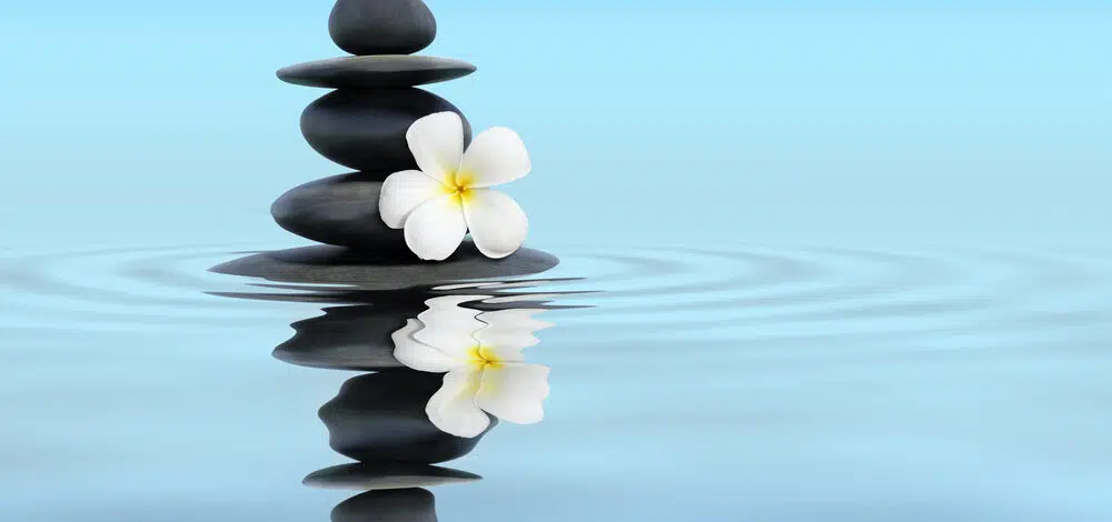 Comment comprendre et appliquer le feng shui