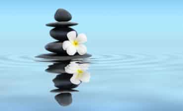 Comment comprendre et appliquer le feng shui