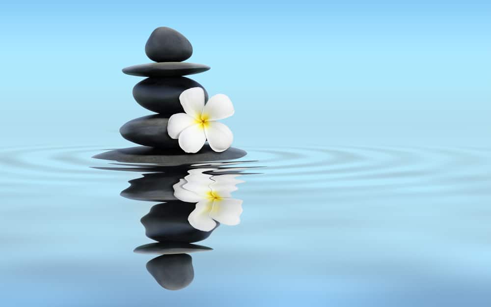 Comment comprendre et appliquer le feng shui