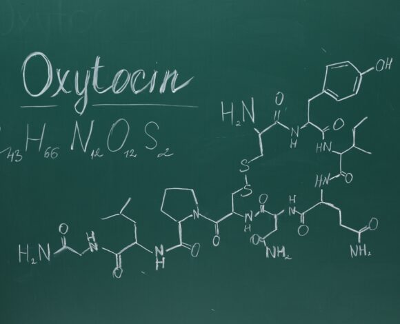 Ocytocine : l’hormone du bonheur que la société ignore