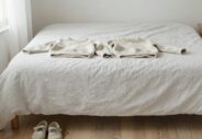Deux vêtements d'enfant posés côte à côte sur un lit, image du choix quotidien.webp